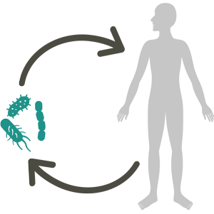 Τα βακτήρια του μικροβιώματος του εντέρου διατηρούν μία ωφέλιμη «συγκατοίκηση» με τον ξενιστή τους.