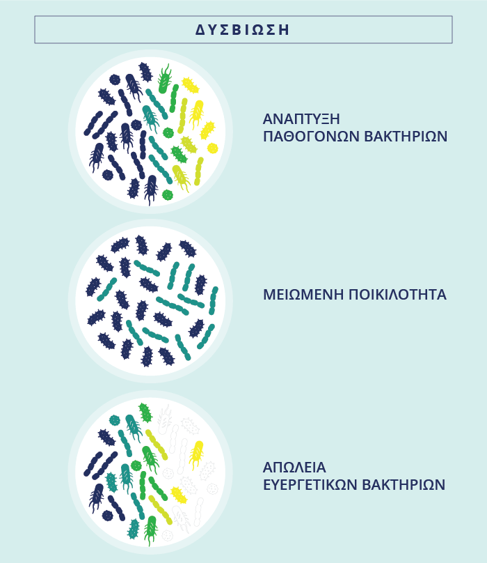 Οι διάφοροι τύποι της απώλειας ισορροπίας του μικροβιώματος που οδηγούν σε δυσβίωση.