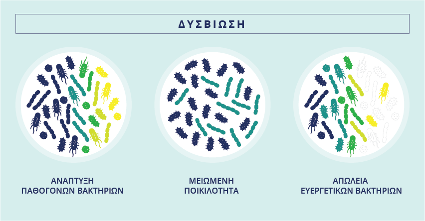 Οι διάφοροι τύποι της απώλειας ισορροπίας του μικροβιώματος που οδηγούν σε δυσβίωση.